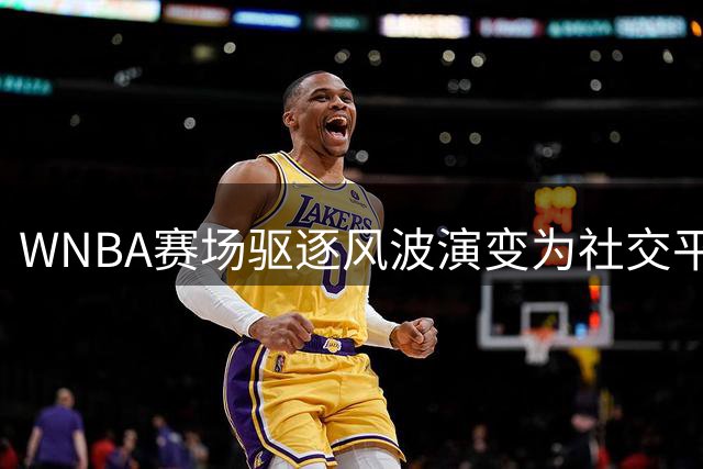 WNBA赛场驱逐风波演变为社交平台热战，库里弟弟犀利点评引热议
